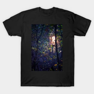 Wild and Tangled Forest T-Shirt